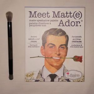 Meet Matt(e) Ador Pallete + Urban Decay brush